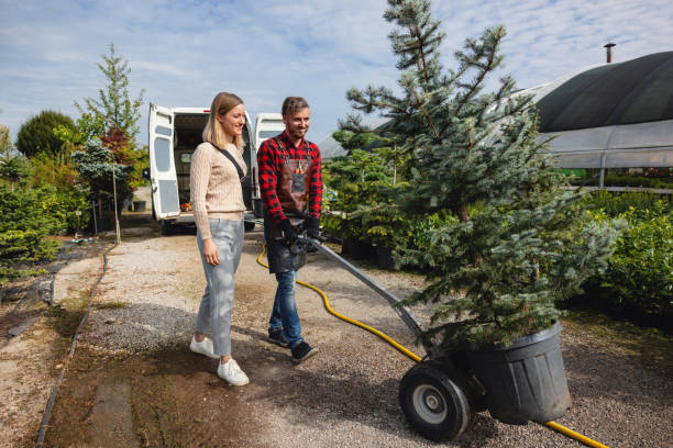  Rockdale, IL Tree Service Pros